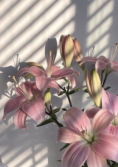 　降 雨 　微 睡 み た い