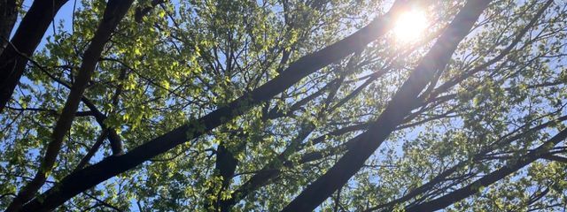 狼月陽　偽さんの壁紙画像