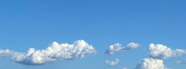 ジェナさんの壁紙画像