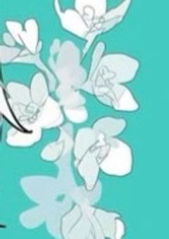 平凡少女は今日も笑顔で頑張ります!