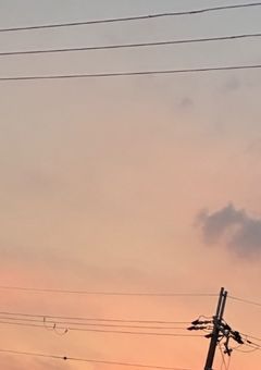 貴方の心の支えになれたら