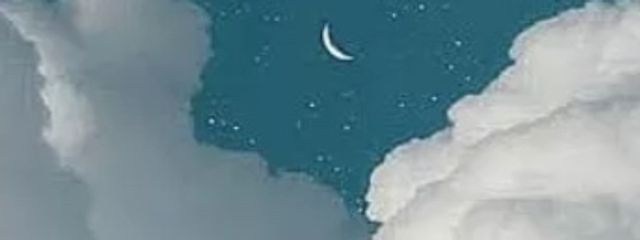 こん、さんの壁紙画像