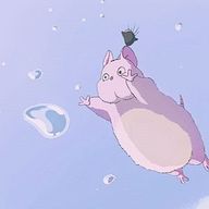 こん、さんのアイコン画像