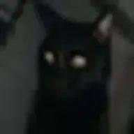 限界さんのアイコン画像