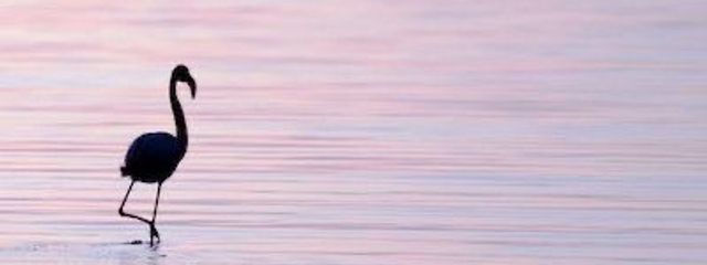 🐿さーち🐰さんの壁紙画像