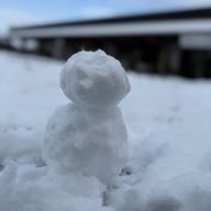 すまいるJANKS💭📽🕊さんのアイコン画像