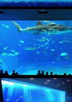 前世からずっと会いたかった