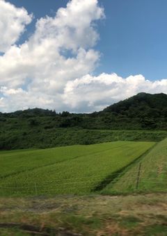 自己紹介とか……しようかなって