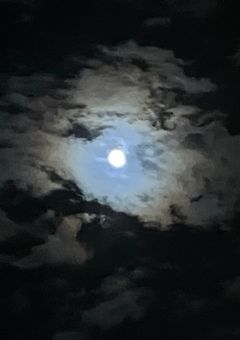 ゆめの雑談部屋☪︎*｡꙳