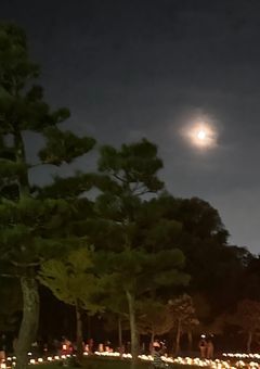 本当に大切なお知らせ【花樹ほたる&病葉りのん】について……[拡散希望］