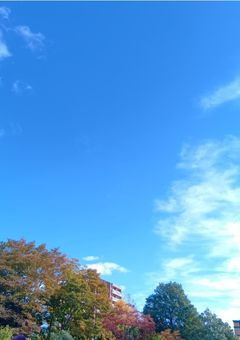 ロブロしてる人来て