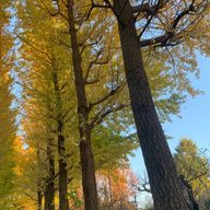 ゆりさんのアイコン画像