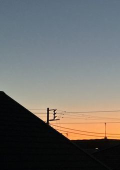 急募！私の代理のビジュ！