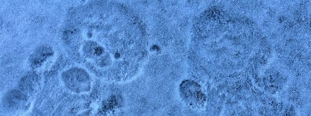 yuhaさんの壁紙画像