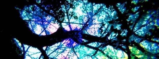 えにさんの壁紙画像