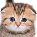 ぽえぽえ￤あにきっずのまろ