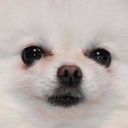 筋肉は全てを解決する￤あにきだよ