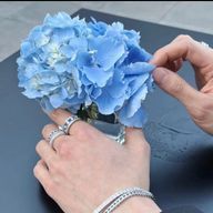 orangeさんのアイコン画像