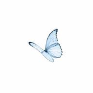 まりん。さんのアイコン画像