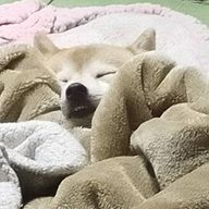 花楓さんのアイコン画像