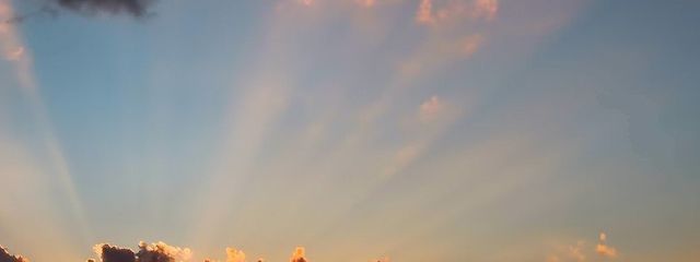 はるさめさんの壁紙画像