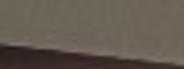 ﾇｺ谷ｻﾒはる　フォロバ絶対さんの壁紙画像