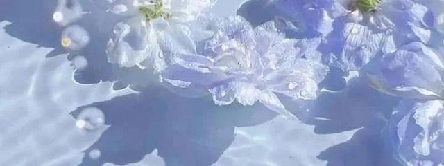 ⋆₊˚ 星酔 せな 𖤐ˊ˗さんの壁紙画像