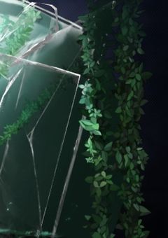 小さなうさぎと僕たち。