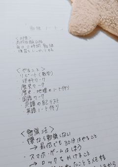 ✎𓈒𓂂𓏸 𝚜𝚝𝚞𝚍𝚢... 🗒