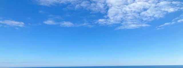 REINAさんの壁紙画像