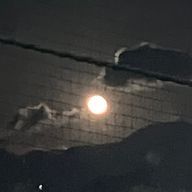 わたあめさんのアイコン画像