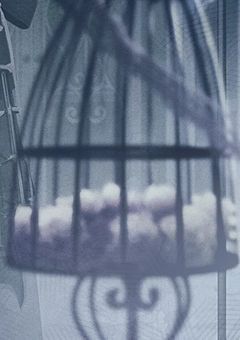 #'Noと言われた子達のお話