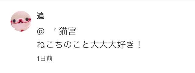 　猫宮　@　pagさんの壁紙画像