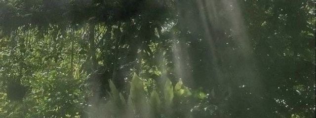0番さんの壁紙画像