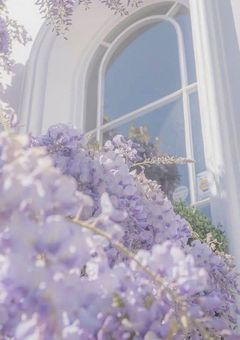 ざつだん📖🖊