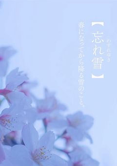 絶対見て