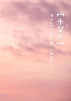可惜夜が欲しくて