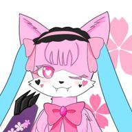 桜neo🌸/neo Sakuraさんのアイコン画像