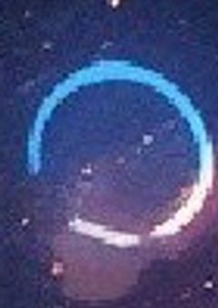 「鈍感で我儘なお嬢様」