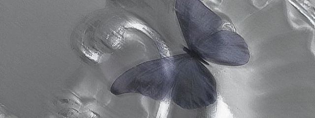 　　　　ᴷⁱʳᵃᵐᵉ　✶⋆.˚　無浮さんの壁紙画像