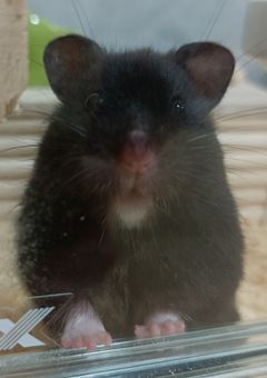 雑談