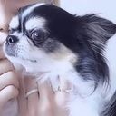 カミ