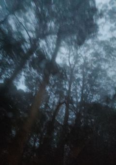 🐶🩸🖤ば っ と え ん ど す と ー り ー - ̗̀ ❤︎‬‪   ̖́-