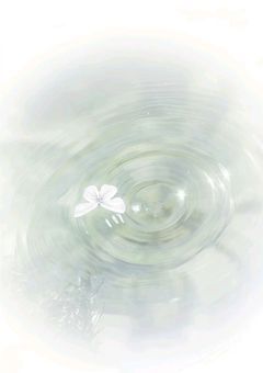 謎のイケメン妖精……