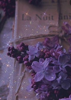 　MCT-A - 予告状に足跡を