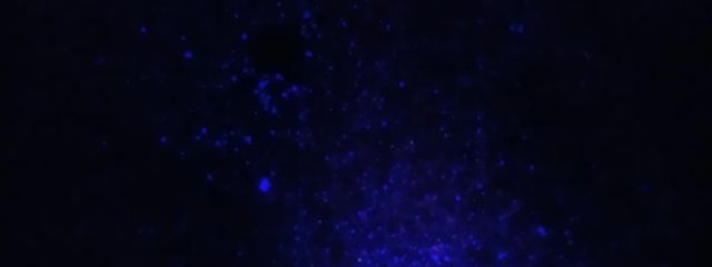 𝕣𝕚𝕒.@𝟘𝟡𝟙𝟠さんの壁紙画像