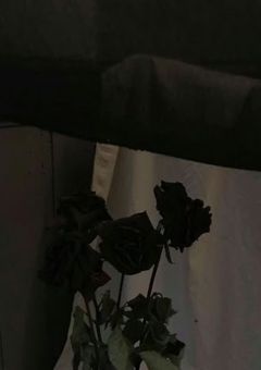 美少女ヤンキー集団モテました⁉︎