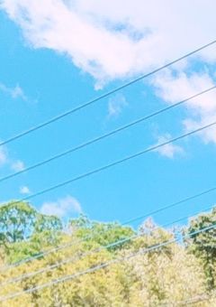 虹色の橋