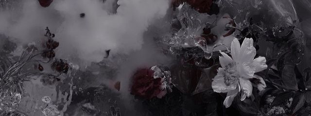 おと🐈‍⬛さんの壁紙画像