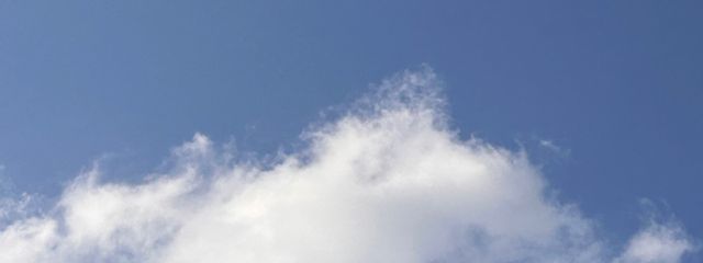 つきさんの壁紙画像